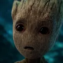 0xgroot