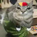 ckjudii