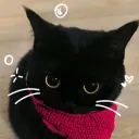 kyocert