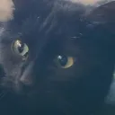 akamek