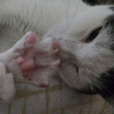 avatar ★ 𝓨𝓾𝓴𝓪  𝓞𝓶𝓸𝓻𝓲 ★