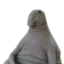 drgrasl