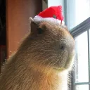 civil_capybara