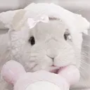 annieaangelic