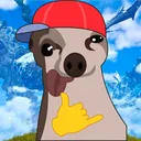 aqui_no