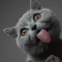 fernandatarigan20
