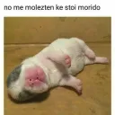 siegfried4012 avatar