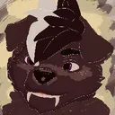 kootta