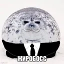 fflvm1