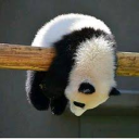 よっちゃん最高 No.1