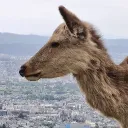 nu.taka