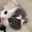 orenti.ru