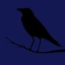 azhureraven