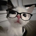 rictydalleda's avatar