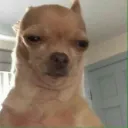notxiri