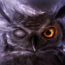 Avatar for NightOwl