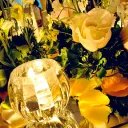 yuki_1122.