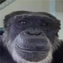 tybigfoot