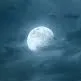 .wizardwizard