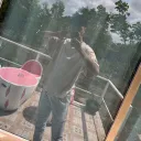 fookthailandx2