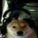 hasukexd