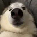 horho123