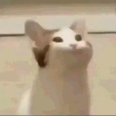 guanyy_
