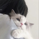 avatar ☛ этого трахаем