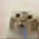 lleon1337
