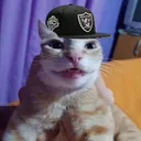 masont11
