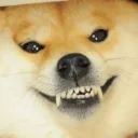 vampiredoggo