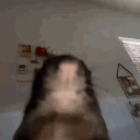 avatar Jack🗕 🗗 🗙