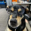 hipshotdot