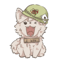 avatar Foxie Blomkie™