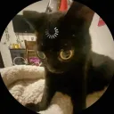 pipahitiz