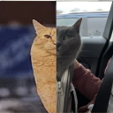 avatar YouKilledTheManButNotTheIdea