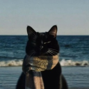 avatar ↷✦; 𝗠 𝗔 𝗧 𝗧↶