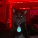 ytghostboyhunter