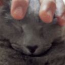 justherring
