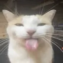 kadeizkool avatar