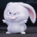 avatar 𝔑𝔲𝔰𝔢𝔱𝔱𝔞