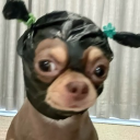 avatar 𝔑𝔲𝔰𝔢𝔱𝔱𝔞