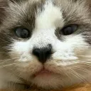 xxaysu