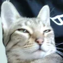 iobocasper