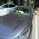 lude5
