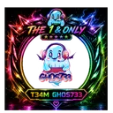 gh0s733