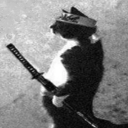 avatar Samurai Cat