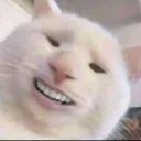 maquol