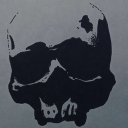 Dylan profile picture