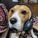 avatar Sumear Thakur